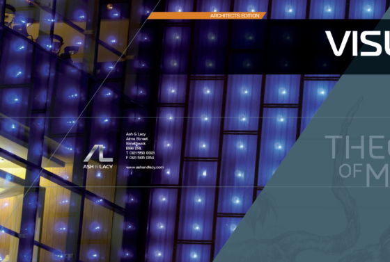Visual Launch Issue